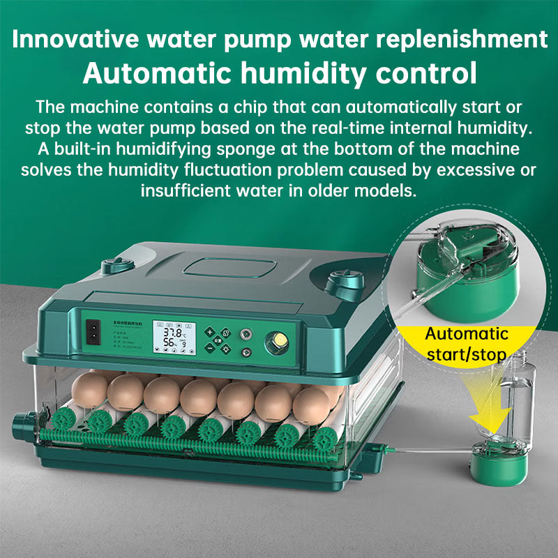 24/36 Egg Incubator Fully Automatic, Auto Turner & Temp Control, Dual Power 220V/12V Mini Poultry Hatcher for Chicken Duck